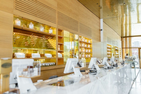 Diverse Ownership Flourishes in Illinois Cannabis Industry with Chicago's SWAY and Bucktown's Village Dispensaries