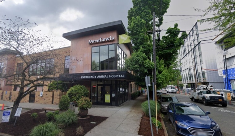 DoveLewis to Double Its Northwest Portland Facility, Addressing Veterinary Space Constraints and Expanding Services