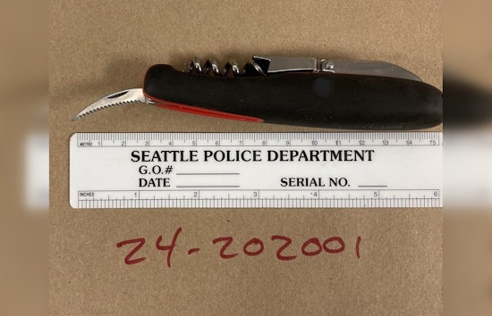 Downtown Seattle Altercation Leads to Stabbing and Arrest in City Hall Park