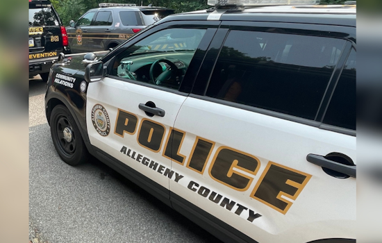Duquesne Woman Dies Following Severe Multi-Vehicle Crash in Homestead, Investigation Underway