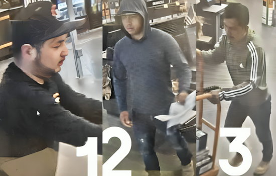 El Cajon Police Seek Public Help to Identify Suspects in Home Depot Theft