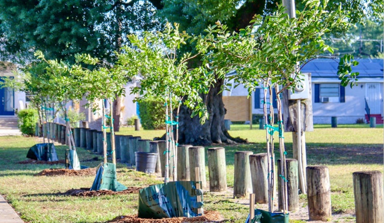 Environmental Groups and Tampa's Green Team Unite for Tree Planting Event to Tackle Air Pollution