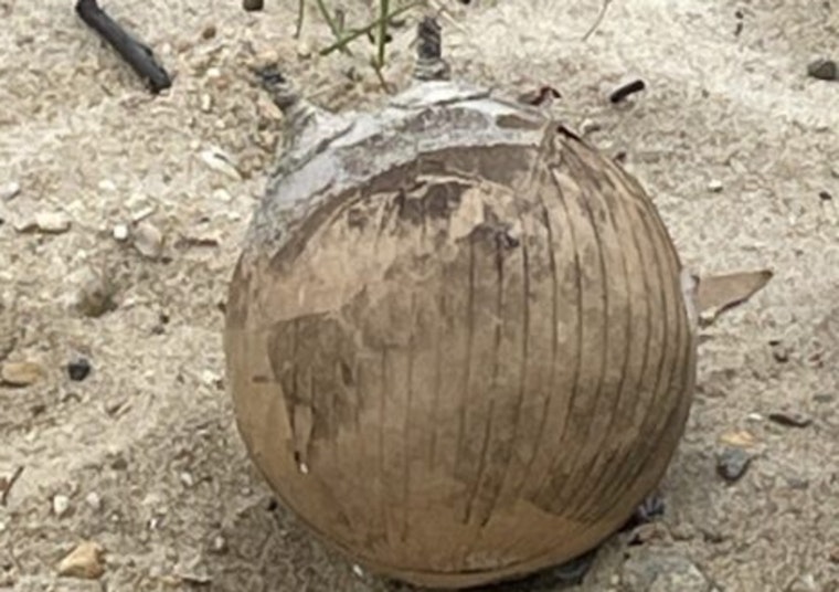 Falmouth Officials Recover Unexploded Fireworks on Beach, Urge Public Caution