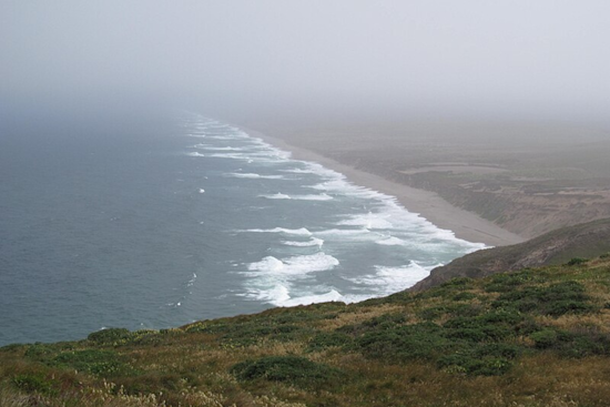 Fatal Crash at Point Reyes Inverness Intersection Leads to Road Closure and Investigation