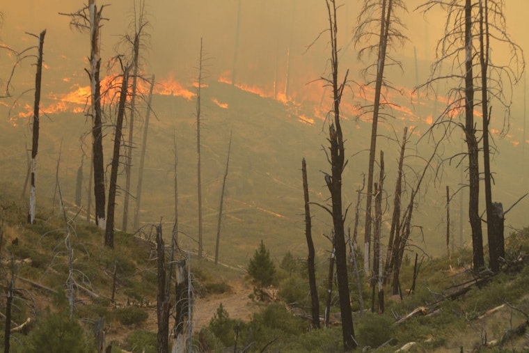 Firefighters Battle 55,000-Acre Falls Fire in Harney County Amid Red Flag Warning and Evacuation Orders