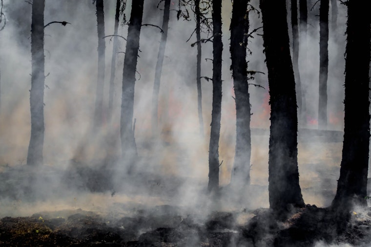 Firefighters Endure Intense Heat and Rugged Terrain Battling Wharton State Forest Wildfire