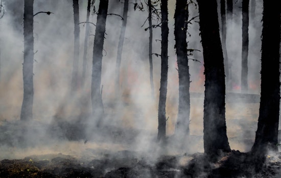 Firefighters Endure Intense Heat and Rugged Terrain Battling Wharton State Forest Wildfire