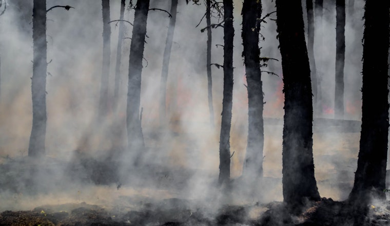 Firefighters Endure Intense Heat and Rugged Terrain Battling Wharton State Forest Wildfire