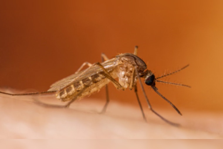 First 2024 Human West Nile Virus Case in Michigan Confirmed in Livingston County Resident