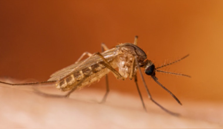 First 2024 Human West Nile Virus Case in Michigan Confirmed in Livingston County Resident