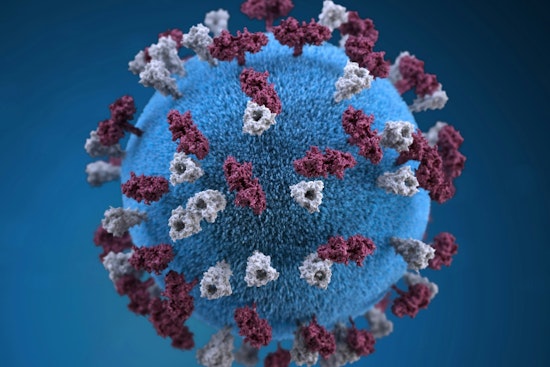 First Massachusetts Measles Case Since 2020 Confirmed in Worcester County Resident