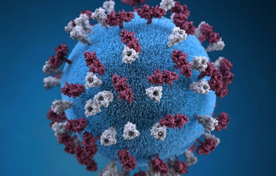 First Massachusetts Measles Case Since 2020 Confirmed in Worcester County Resident