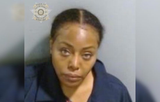 Former Douglas County Judge Christina Peterson Seeks Dismissal of Charges from Atlanta Nightclub Incident