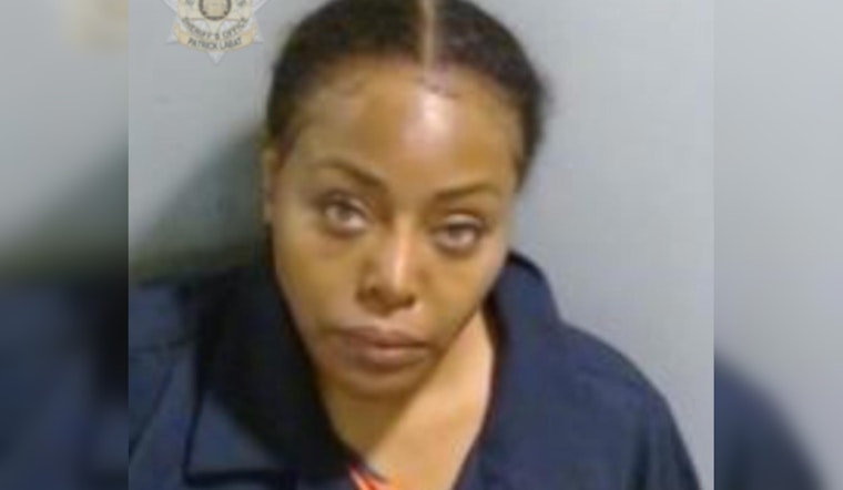 Former Douglas County Judge Christina Peterson Seeks Dismissal of Charges from Atlanta Nightclub Incident