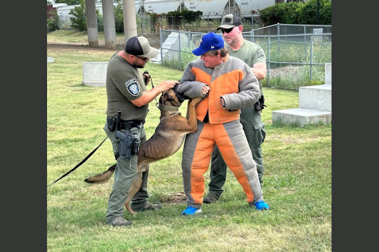 Fort Worth Honors Canine Officers with K9 Day and Memorial Dedication