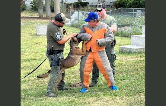 Fort Worth Honors Canine Officers with K9 Day and Memorial Dedication