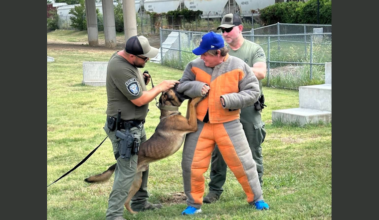 Fort Worth Honors Canine Officers with K9 Day and Memorial Dedication