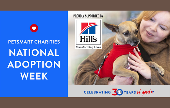 Fort Worth Hosts PetSmart National Adoption Week: Adopt Pets and Boost Shelter Support