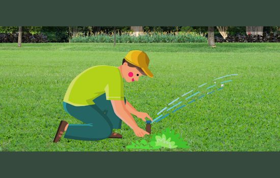 Fort Worth Offers Free Irrigation Check-Ups In Smart Irrigation Month Initiative