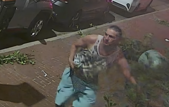 VIDEO: Fort Worth Police Seek Public's Help to Identify Downtown Vandalism Suspect