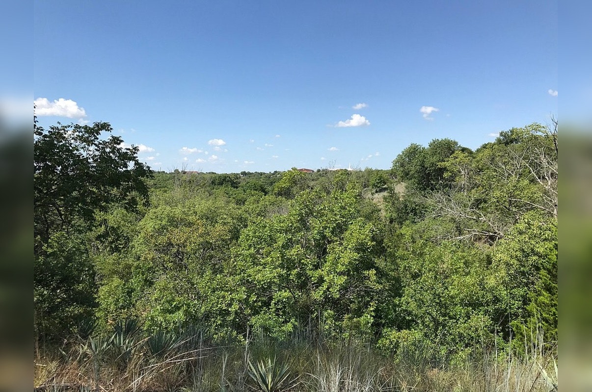 Fort Worth's Enigmatic Legend: The Lake Worth Goatman Continues to Captivate Locals