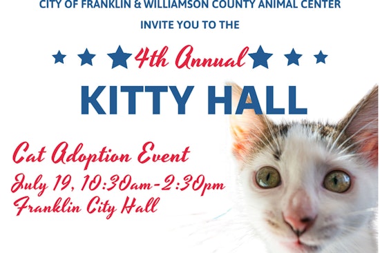 Franklin Readies for 4th Annual Kitty Hall Adoption Event with Adorable Felines and Special Perks