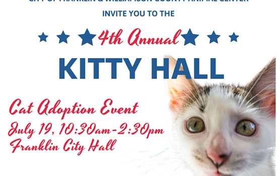 Franklin Readies for 4th Annual Kitty Hall Adoption Event with Adorable Felines and Special Perks