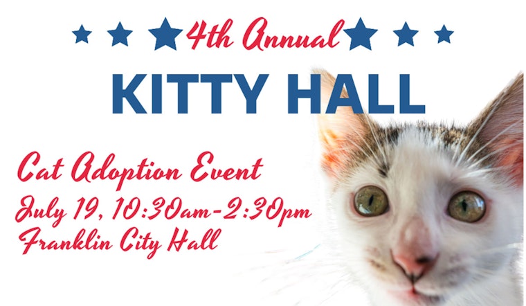 Franklin Readies for 4th Annual Kitty Hall Adoption Event with Adorable Felines and Special Perks