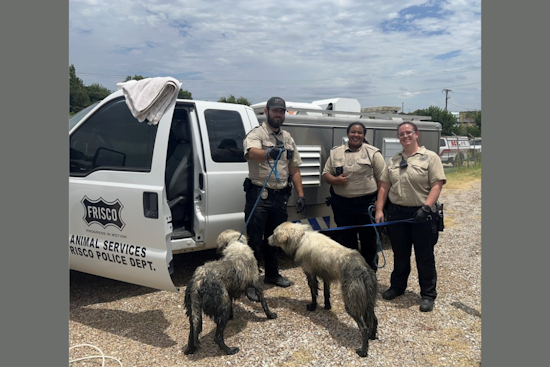 Frisco Community and Services Join Forces to Save Two Dogs from Retention Pond Mishap