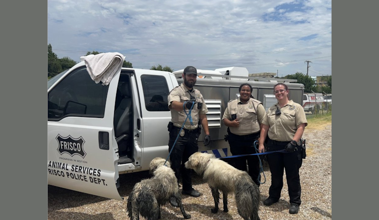 Frisco Community and Services Join Forces to Save Two Dogs from Retention Pond Mishap