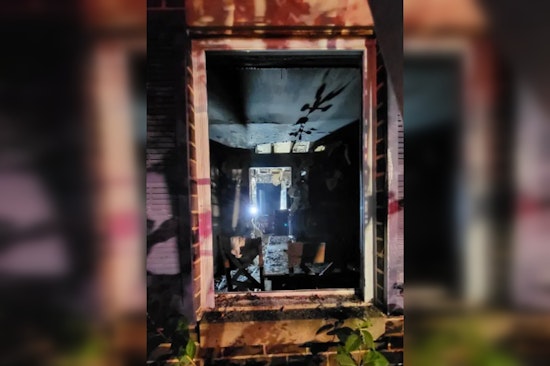 Gaithersburg Family Credits Pet Cat Prince with Life-Saving Alert in House Fire