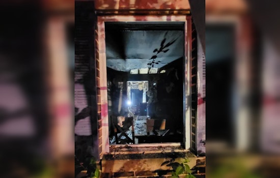 Gaithersburg Family Credits Pet Cat Prince with Life-Saving Alert in House Fire