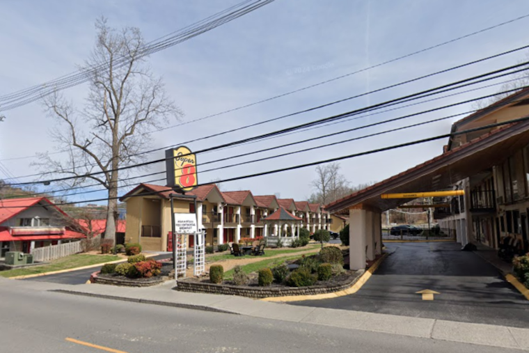 Gatlinburg Hotel Bear Encounter Spotlights Human-Wildlife Conflict Management