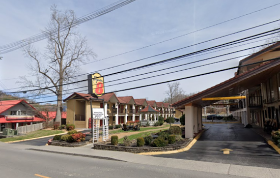 Gatlinburg Hotel Bear Encounter Spotlights Human-Wildlife Conflict Management