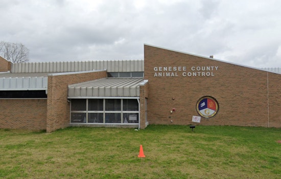 Genesee County Animal Shelter Temporarily Closes Due to Canine Distemper, Parvovirus and Kennel Cough Outbreak