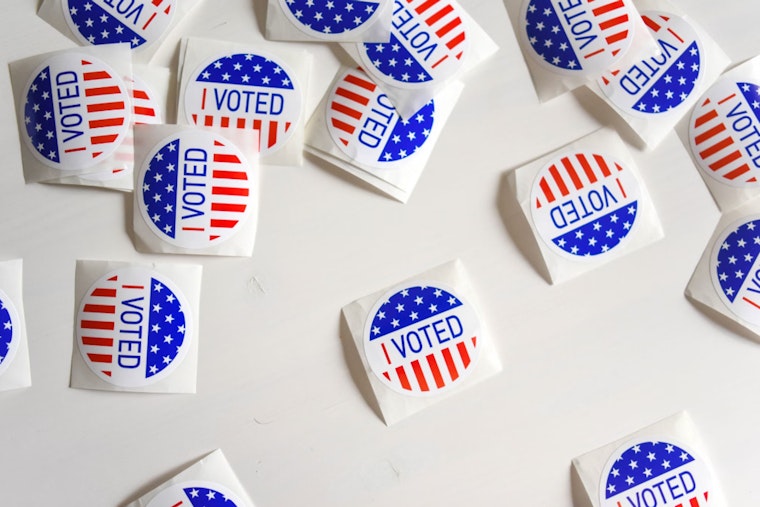 Georgia's 2024 Elections Face Potential Disruption From Voter Challenge Apps