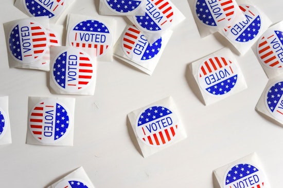 Georgia's 2024 Elections Face Potential Disruption From Voter Challenge Apps