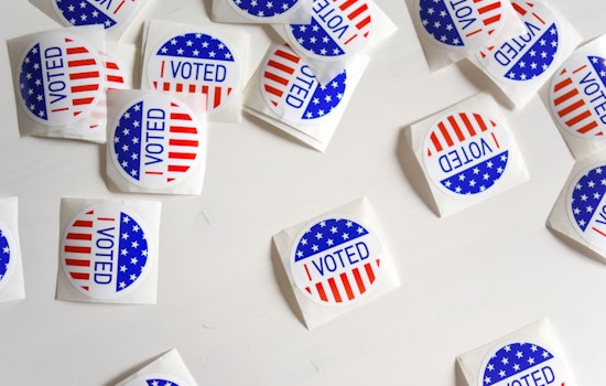 Georgia's 2024 Elections Face Potential Disruption From Voter Challenge Apps