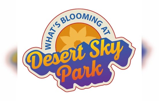 Gilbert Invites Community Input on Desert Sky Park's Next Phase – Share Your Vision for the Public Space's Future