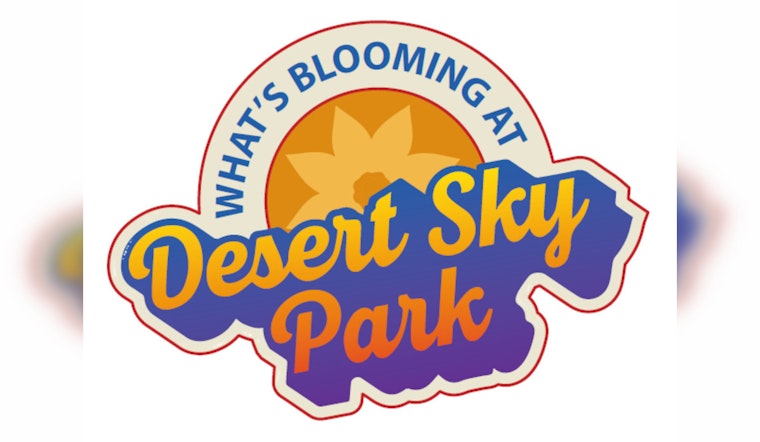 Gilbert Invites Community Input on Desert Sky Park's Next Phase – Share Your Vision for the Public Space's Future