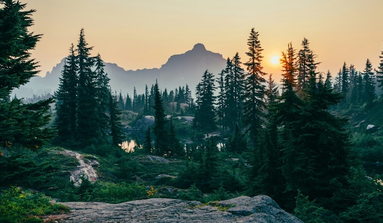 Global Biodiversity Crisis: Scientists Unveil Plan to Save 4,700 Species by Protecting Key Areas