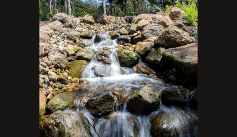 Golden Gate Park's Middle Lake Undergoes Major Ecological Revitalization in San Francisco