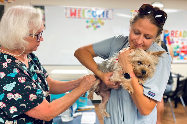 Grapevine Community Unites for Pet Welfare: Free Vaccines and Food Pantry Support Local Animal Owners