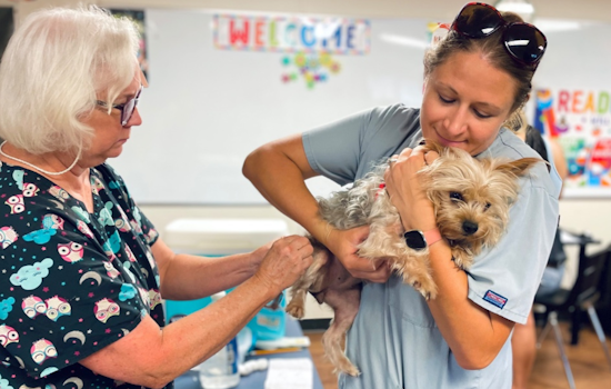 Grapevine Community Unites for Pet Welfare: Free Vaccines and Food Pantry Support Local Animal Owners