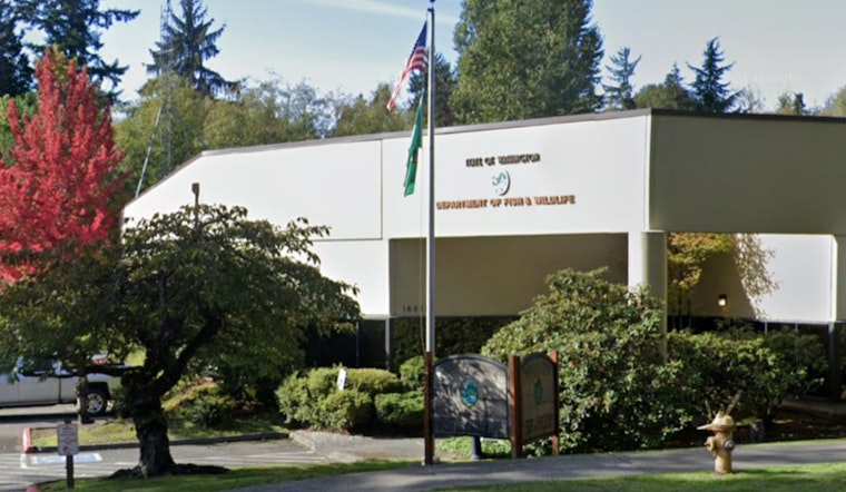 Grays Harbor County Man Sentenced to 29 Months for Illegal Elk Poaching and Multiple Wildlife Violations