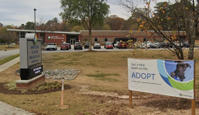 Gwinnett Animal Welfare Waives Adoption Fees for '12 Strays of Christmas in July' Campaign