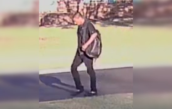 Gwinnett County Police Seek Public's Aid in Lawrenceville Homicide Case