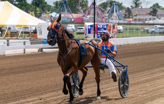 Harness Racing Takes Center Stage at Illinois State Fair's Horse Racing Day in Springfield