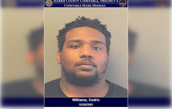 Harris County Deputies Arrest Man for Prohibited Weapon Possession and Evading Arrest in Neighborhood Brawl