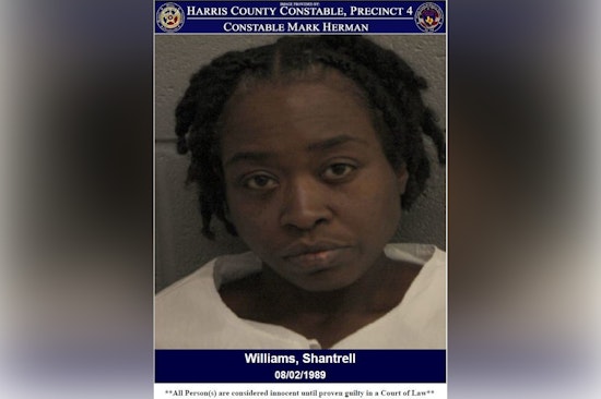 Harris County Woman Accused of Assault on Peace Officers Following Disturbance